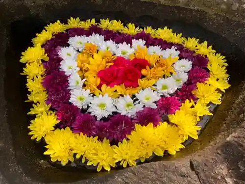 真言宗　善通寺派　薬王寺(香川県)