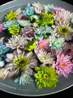 下野 星宮神社(栃木県)