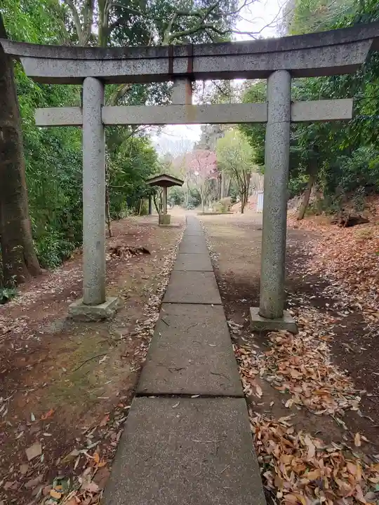 赤城神社 (勧農城跡)(栃木県)