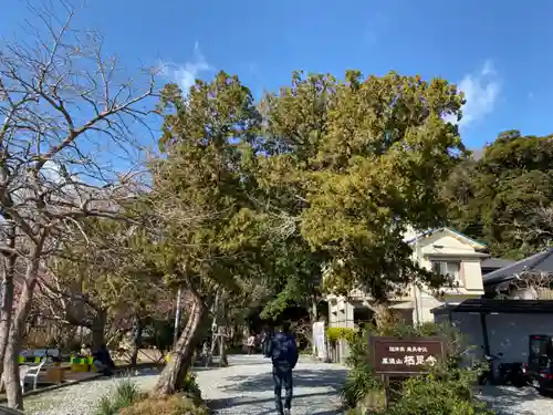 かっぱの寺 栖足寺の自然