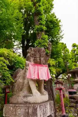 茨木神社の狛犬