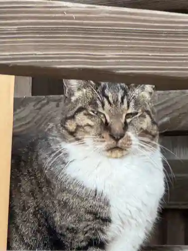 阿邪訶根神社(福島県)