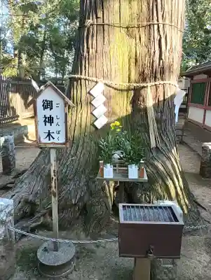 一言主神社の{uncategorized: "未分類", other: "その他", undefined: "問題あり", building: "その他建物", grave: "お墓", sacred_gate: "鳥居", guardian: "狛犬", statue: "像", buddha: "仏像", history: "歴史", nature: "自然", garden: "庭園", animal: "動物", pagoda: "塔", temizu: "手水舎", mountain_gate: "山門・神門", sanctuary: "本殿・本堂", subordinate: "末社・摂社", art: "芸術", scenery: "景色", jizo: "地蔵", ema: "絵馬", goshuin: "御朱印", omikuji: "おみくじ", items: "授与品その他", amulet: "お守り", goshuincho: "御朱印帳", eats: "食事", festival: "お祭り", votive_dance: "神楽", shichigosan: "七五三参", wedding: "結婚式", experience: "体験その他", initially: "初詣", around: "周辺", anti_infection: "感染症対策"}