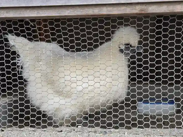 櫻木神社(東京都)
