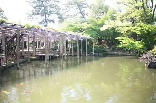 越ヶ谷久伊豆神社(埼玉県)