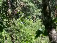 黄幡神社(愛媛県)