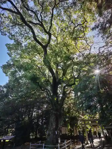 山名神社の自然