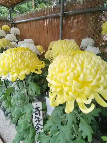 八幡八雲神社の庭園