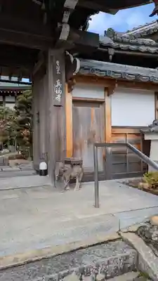真福寺(京都府)