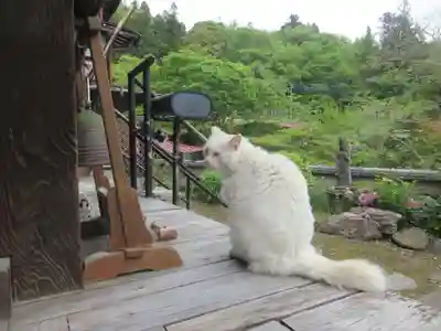 光珠院(埼玉県)