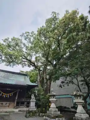 貴布禰神社の自然