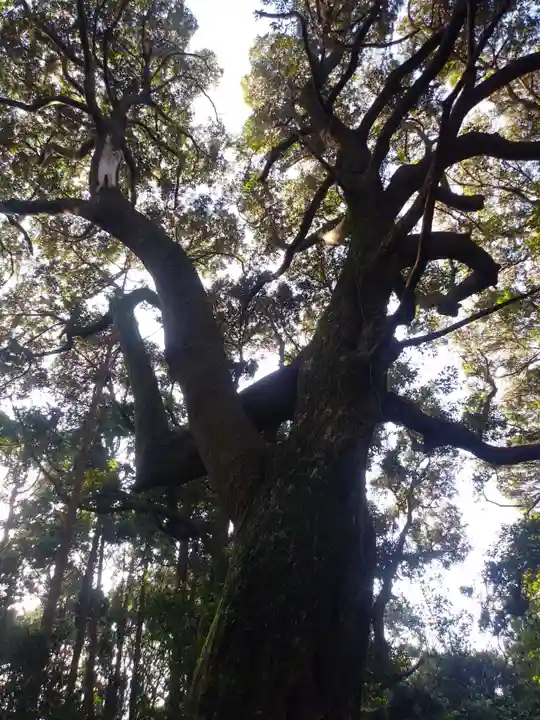 沼尾神社の自然