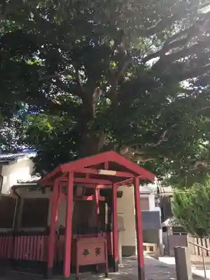大宮神社の末社・摂社