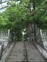 戸隠神社中社(長野県)