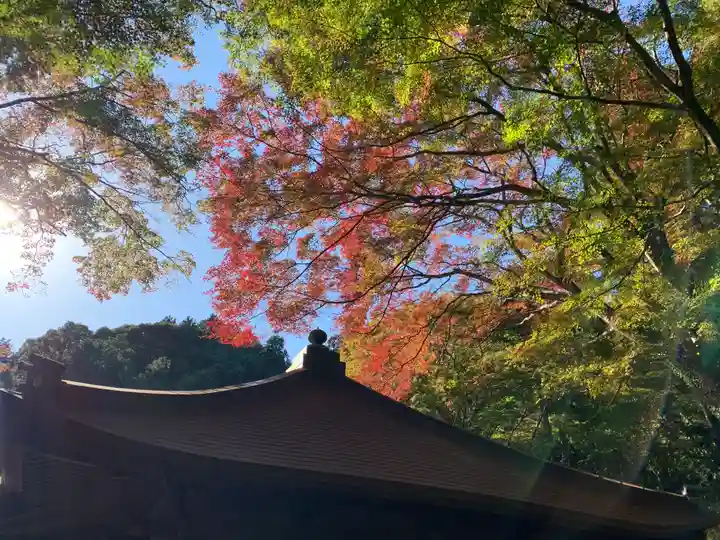 普門寺(切り絵御朱印発祥の寺)のその他建物