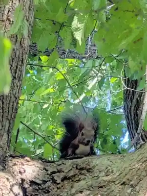 角田神社(北海道)