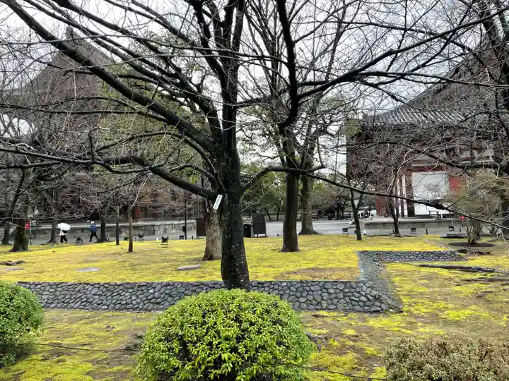 東寺(教王護国寺)(京都府)