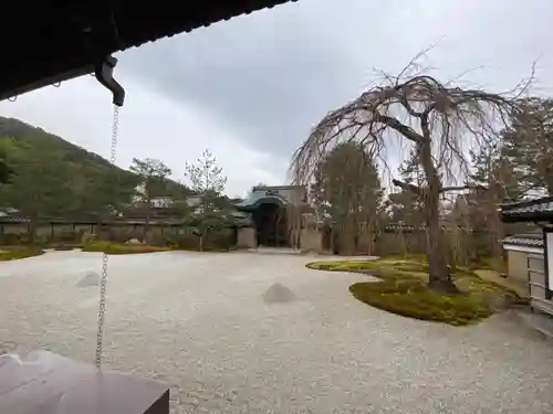 高台寺（高台寿聖禅寺・高臺寺）の庭園