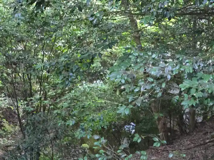 醍醐寺(上醍醐)(京都府)