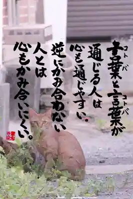 専念寺(大阪府)