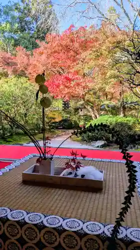 光明寺（粟生光明寺）(京都府)