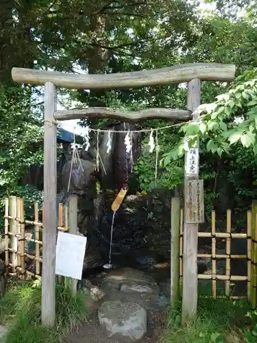 越ヶ谷久伊豆神社の手水