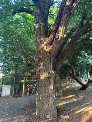石手堰神社(岩手県)