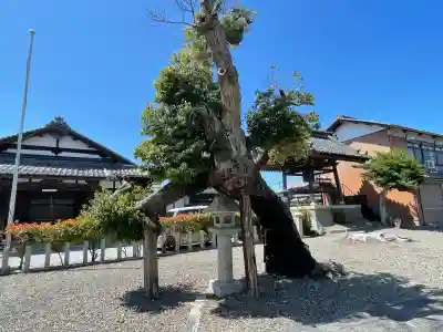 勝鳥神社(滋賀県)