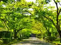 三寶寺のその他建物