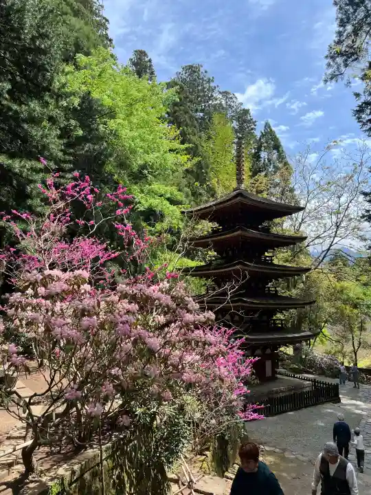 室生寺の{uncategorized: "未分類", other: "その他", undefined: "問題あり", building: "その他建物", grave: "お墓", sacred_gate: "鳥居", guardian: "狛犬", statue: "像", buddha: "仏像", history: "歴史", nature: "自然", garden: "庭園", animal: "動物", pagoda: "塔", temizu: "手水舎", mountain_gate: "山門・神門", sanctuary: "本殿・本堂", subordinate: "末社・摂社", art: "芸術", scenery: "景色", jizo: "地蔵", ema: "絵馬", goshuin: "御朱印", omikuji: "おみくじ", items: "授与品その他", amulet: "お守り", goshuincho: "御朱印帳", eats: "食事", festival: "お祭り", votive_dance: "神楽", shichigosan: "七五三参", wedding: "結婚式", experience: "体験その他", initially: "初詣", around: "周辺", anti_infection: "感染症対策"}