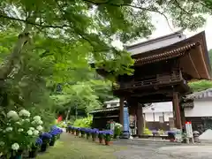 普門寺(切り絵御朱印発祥の寺)の山門