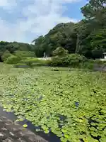 常楽寺(兵庫県)