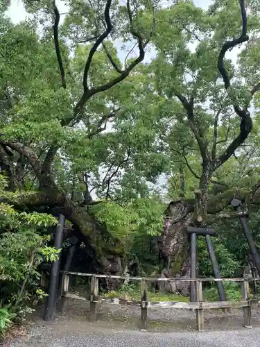 伊勢神宮外宮（豊受大神宮）(三重県)