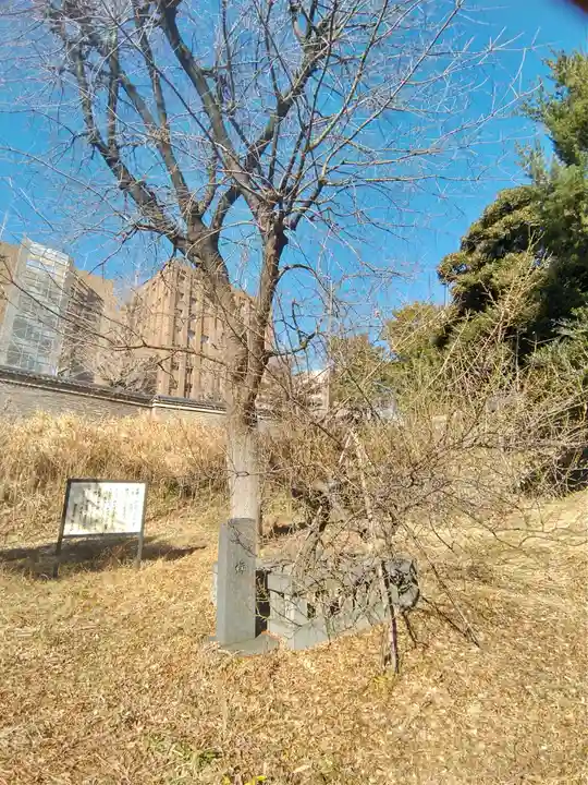 湯島聖堂の自然