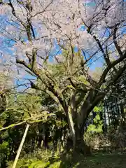 風巻神社奥社(新潟県)