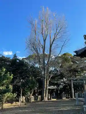 福浦金刀比羅宮の自然