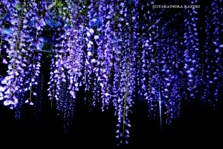 白旗神社(神奈川県)