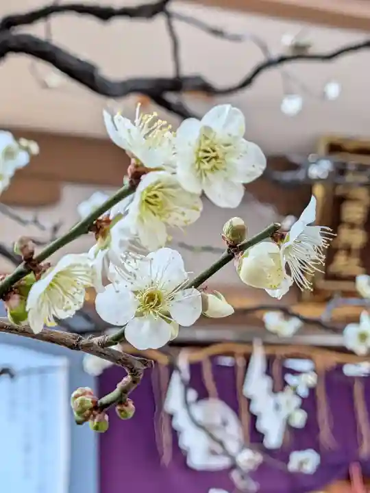 穏田神社(東京都)
