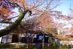 大徳寺(京都府)