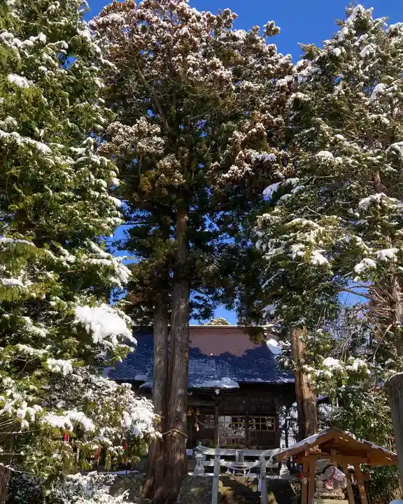 高司神社〜むすびの神の鎮まる社〜の自然