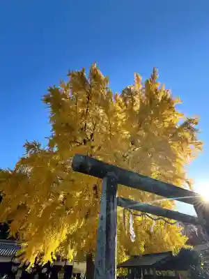 丹生酒殿神社(和歌山県)
