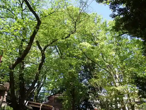 春日神社の自然