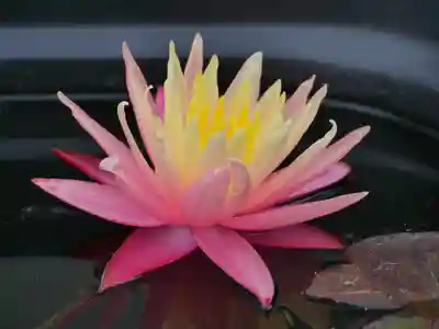 極楽山 浄土寺(北海道)