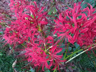 江守神社(福井県)