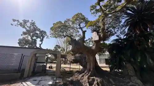 石清水鳥飼八幡別宮(兵庫県)