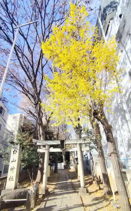 荻窪白山神社(東京都)