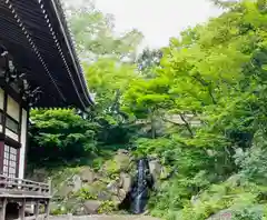 妙蓮寺(神奈川県)