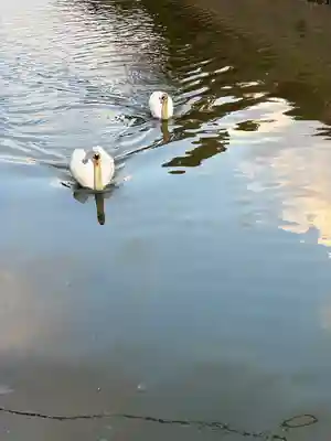 八大荒神社(島根県)