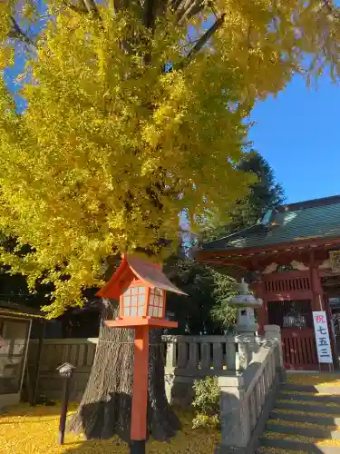 長沼八幡宮(栃木県)