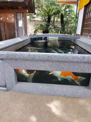 大聖観音寺（あびこ観音）(大阪府)